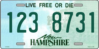 NH license plate 1238731