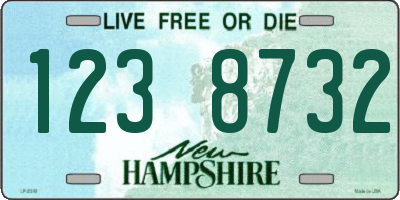 NH license plate 1238732