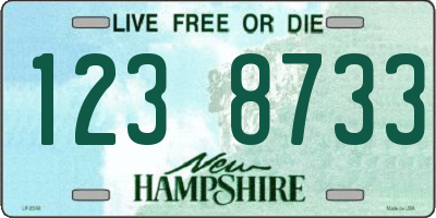 NH license plate 1238733