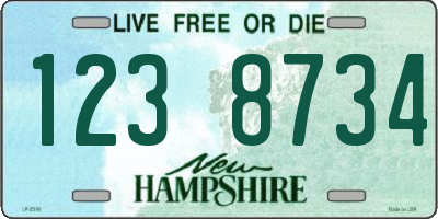NH license plate 1238734