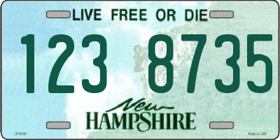 NH license plate 1238735