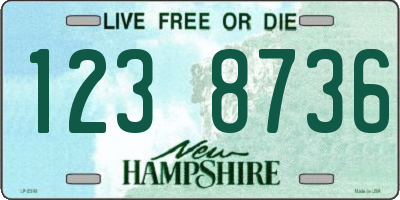 NH license plate 1238736