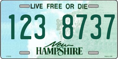 NH license plate 1238737