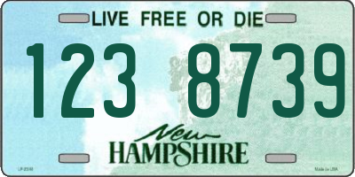 NH license plate 1238739