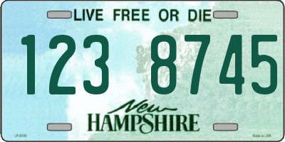 NH license plate 1238745