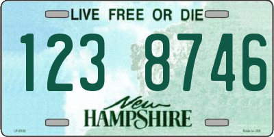 NH license plate 1238746