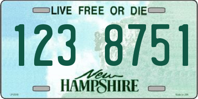 NH license plate 1238751