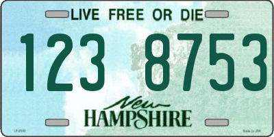 NH license plate 1238753