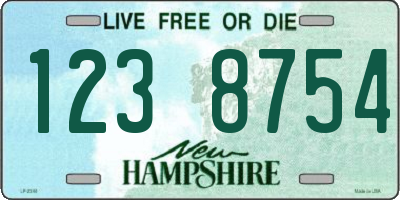 NH license plate 1238754