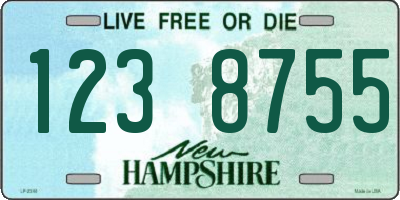 NH license plate 1238755