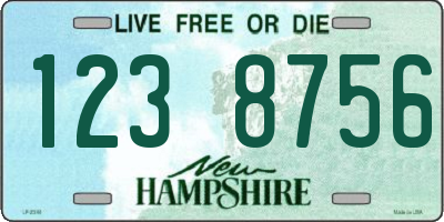NH license plate 1238756