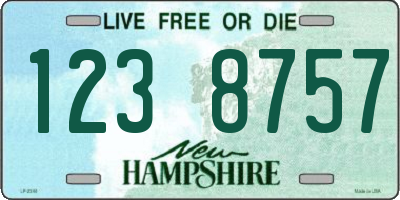NH license plate 1238757