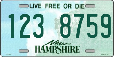 NH license plate 1238759