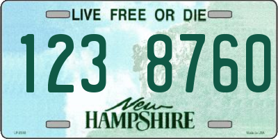 NH license plate 1238760