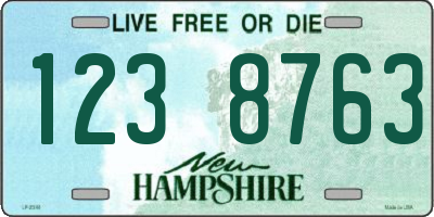 NH license plate 1238763