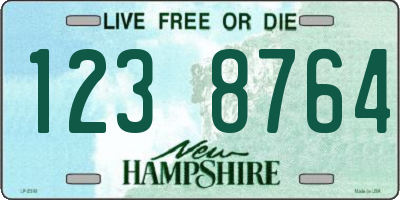 NH license plate 1238764