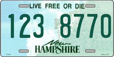 NH license plate 1238770