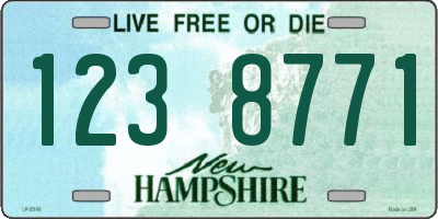 NH license plate 1238771