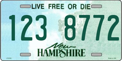 NH license plate 1238772