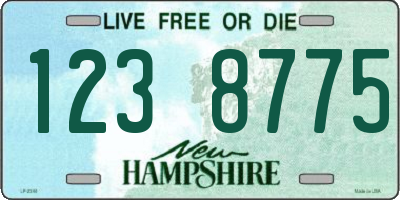 NH license plate 1238775