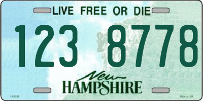 NH license plate 1238778
