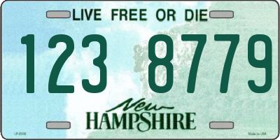 NH license plate 1238779