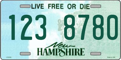 NH license plate 1238780