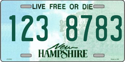 NH license plate 1238783