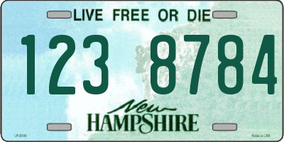 NH license plate 1238784