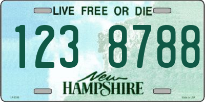 NH license plate 1238788