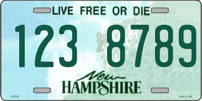 NH license plate 1238789