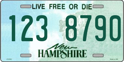 NH license plate 1238790