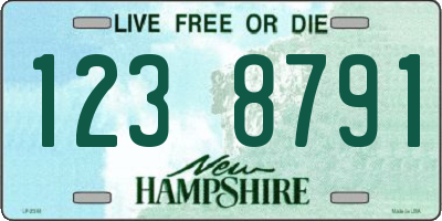 NH license plate 1238791
