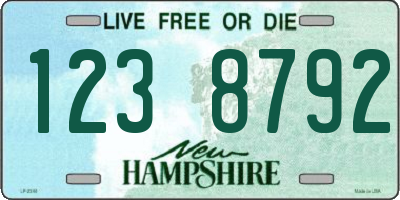 NH license plate 1238792