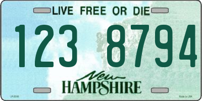 NH license plate 1238794