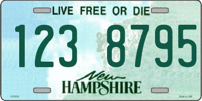 NH license plate 1238795