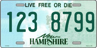NH license plate 1238799
