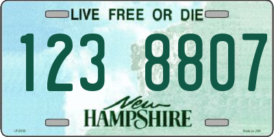 NH license plate 1238807
