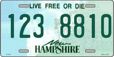 NH license plate 1238810