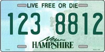 NH license plate 1238812