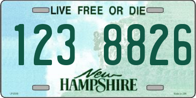 NH license plate 1238826