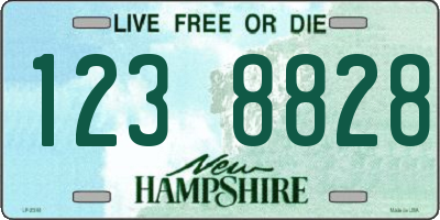 NH license plate 1238828