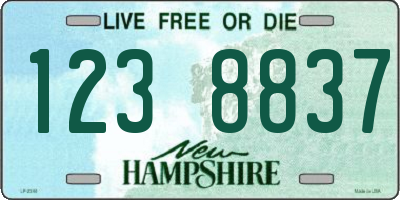 NH license plate 1238837