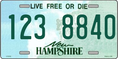 NH license plate 1238840