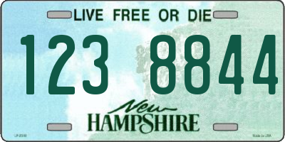 NH license plate 1238844