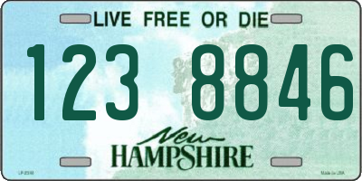 NH license plate 1238846