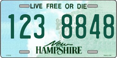 NH license plate 1238848