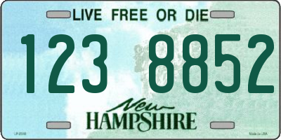 NH license plate 1238852