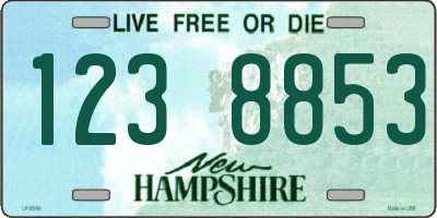 NH license plate 1238853
