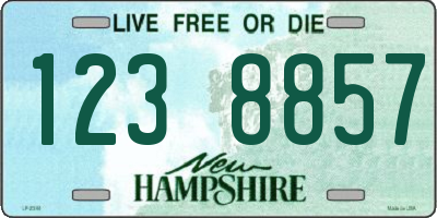 NH license plate 1238857